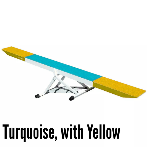 Intercan SOFT Seesaw v2.0 - CO26
