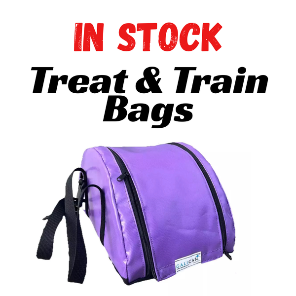 *IN STOCK* Treat and Train Bag