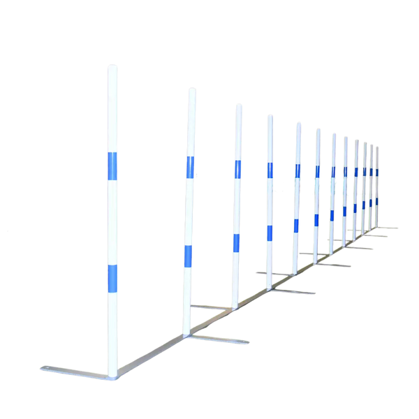 FCI Galican Competition Slalom (Weaves) - WCO26