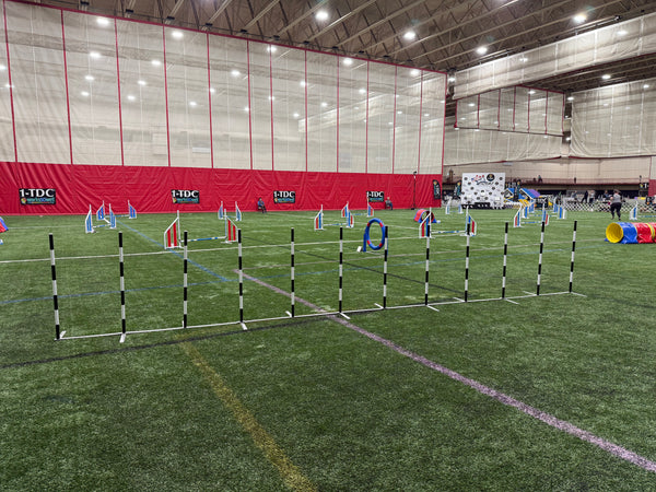 LITE Slalom (Weaves), BLACK STRIPES - 1-TDC Invitational