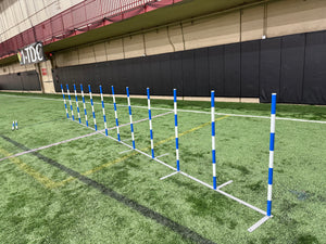 LITE Slalom (Weaves), BLUE STRIPES - WCO25