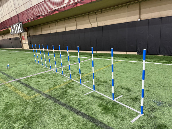 LITE Slalom (Weaves), BLUE STRIPES - WCO25