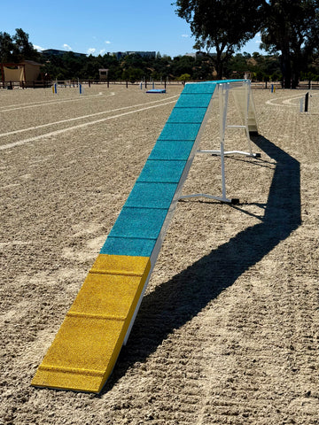 SOFT Dogwalk v2.0, TURQUOISE/YELLOW - CKC ATC
