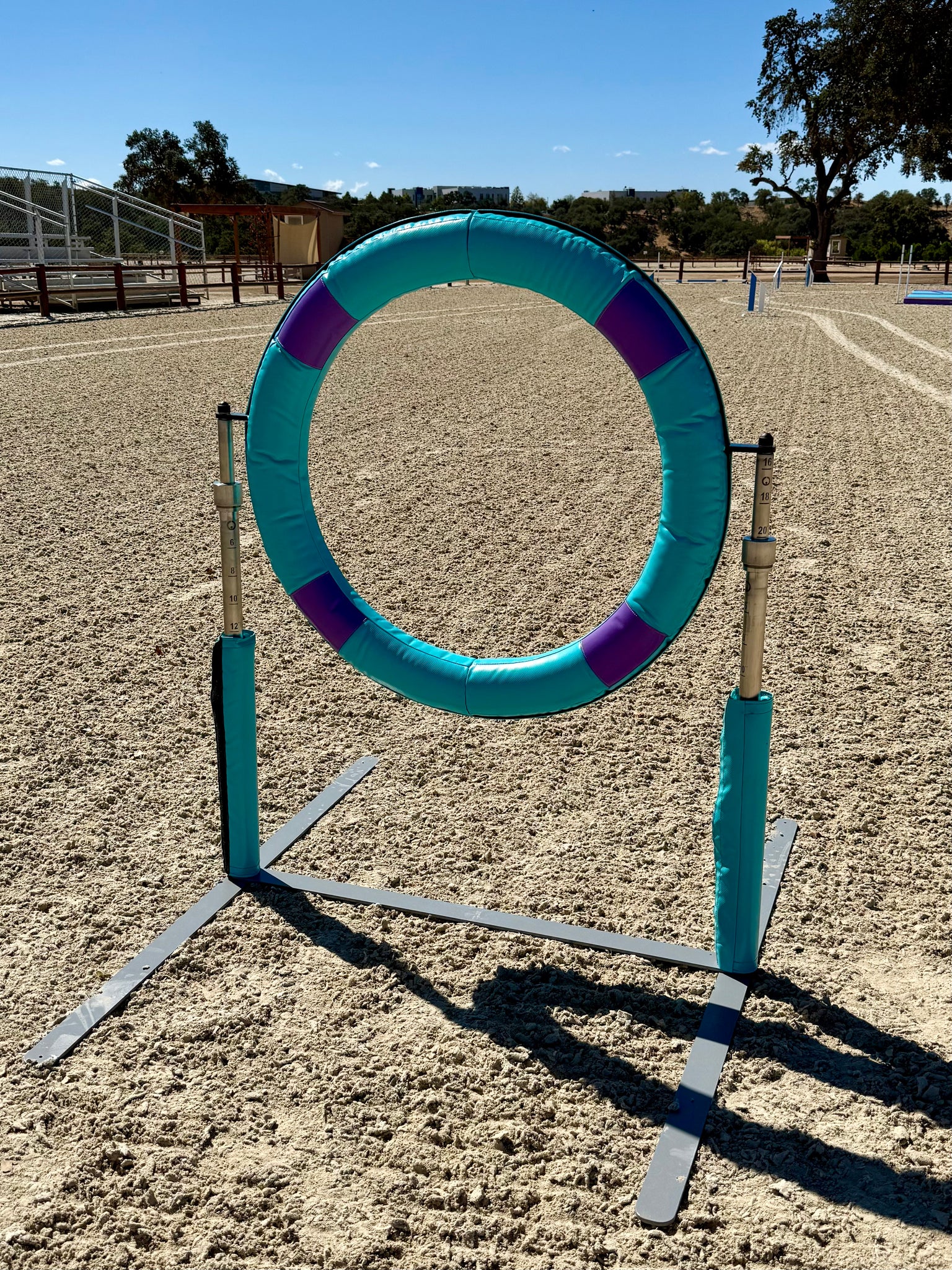 LITE Tyre Jump, TURQUOISE & PURPLE - CKC ATC