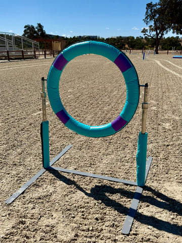 LITE Tyre Jump, TURQUOISE & PURPLE - CKC ATC