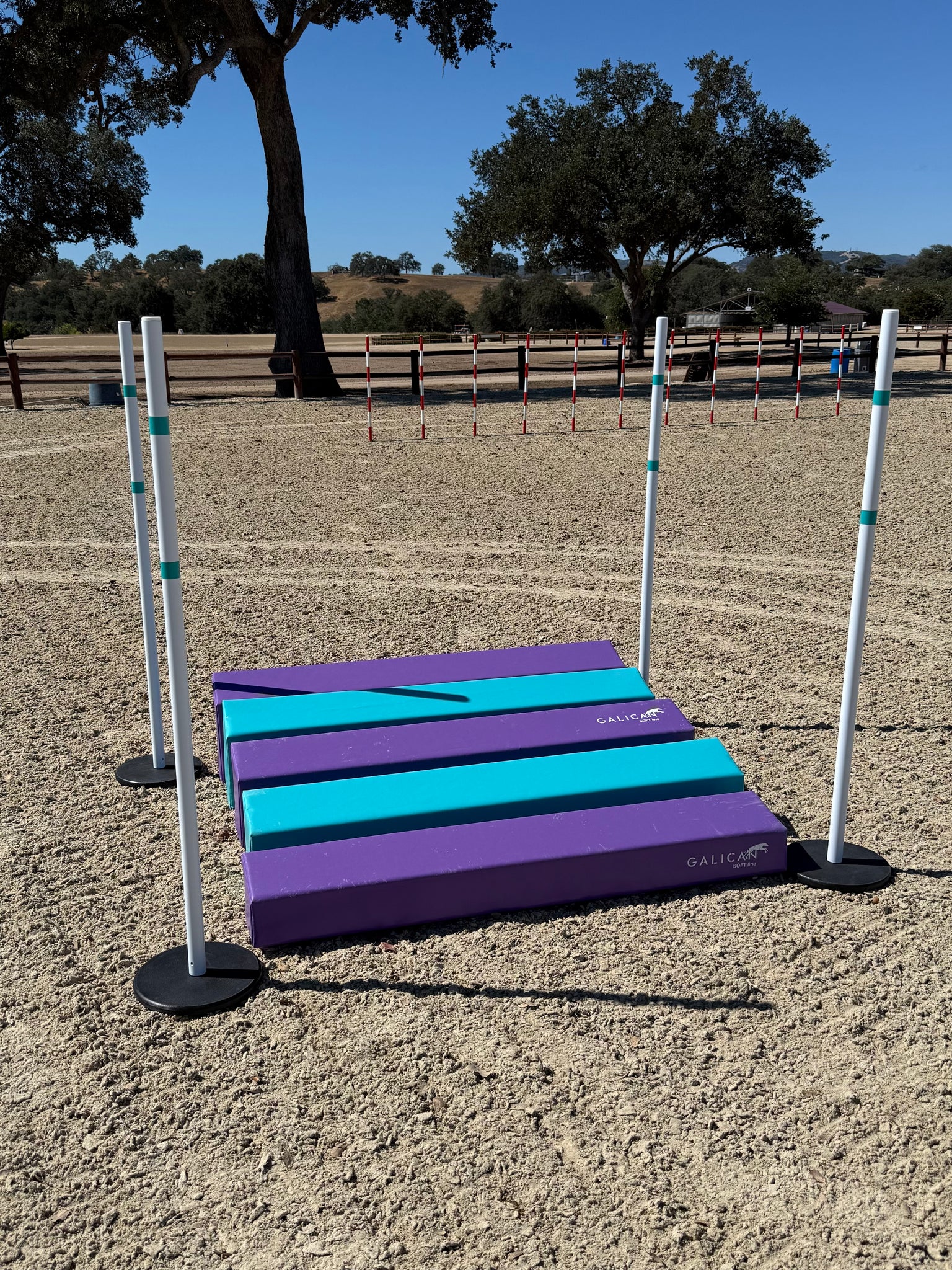 SOFT Long Jump PURPLE/TURQUOISE - CKC ATC