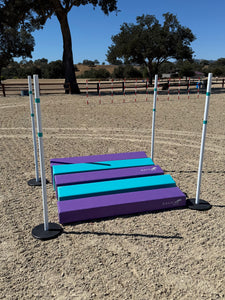 SOFT Long Jump PURPLE/TURQUOISE - CKC ATC