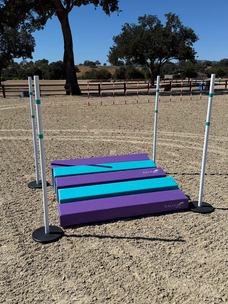 SOFT Long Jump PURPLE/TURQUOISE - CKC ATC