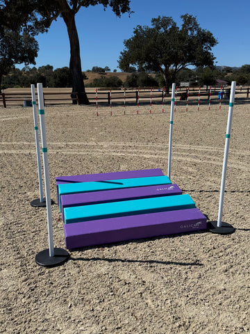 SOFT Long Jump PURPLE/TURQUOISE - CKC ATC