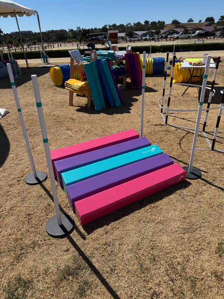 SOFT Long Jump - WCO26