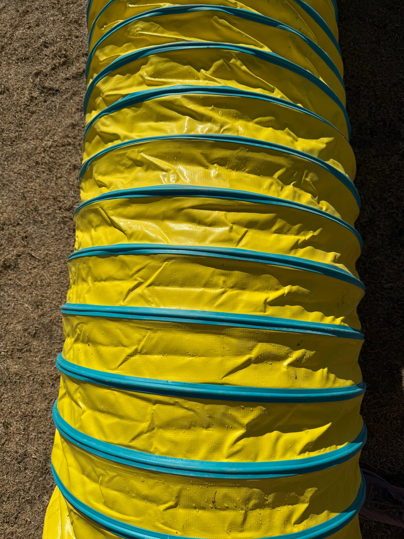 Galican Fullgrip Agility Tunnel 4" Pitch, 6M YELLOW/TURQUOISE - Invitational2026