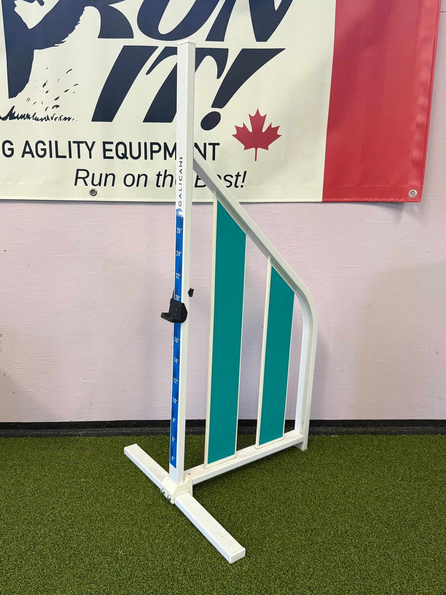 Intercan PVC Jump, TURQUOISE - CKC ATC