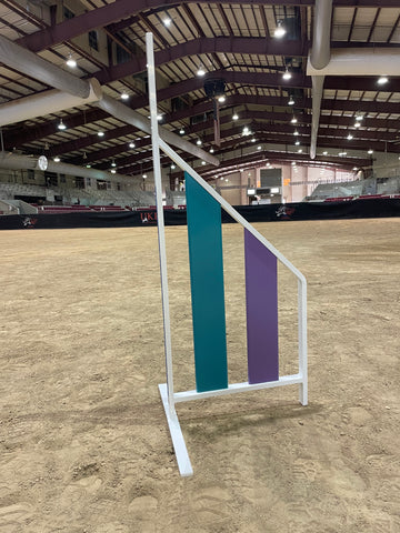 LITE Aluminum Jump, TURQUOISE/PURPLE - CO25