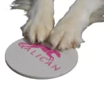 Nose Target Disc