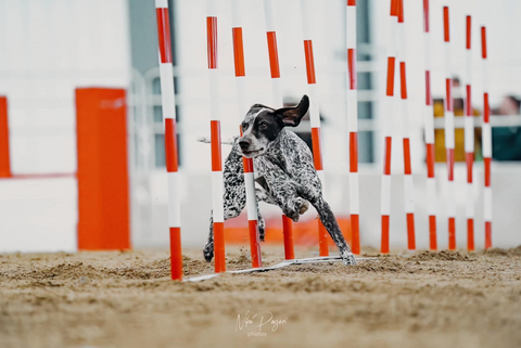 LITE Slalom (Weaves), RED STRIPES - WCO25