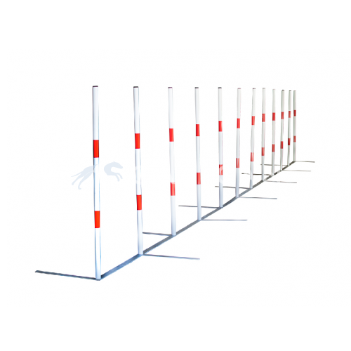 FCI Galican Competition Slalom (Weaves) TURQUOISE - CKC ATC